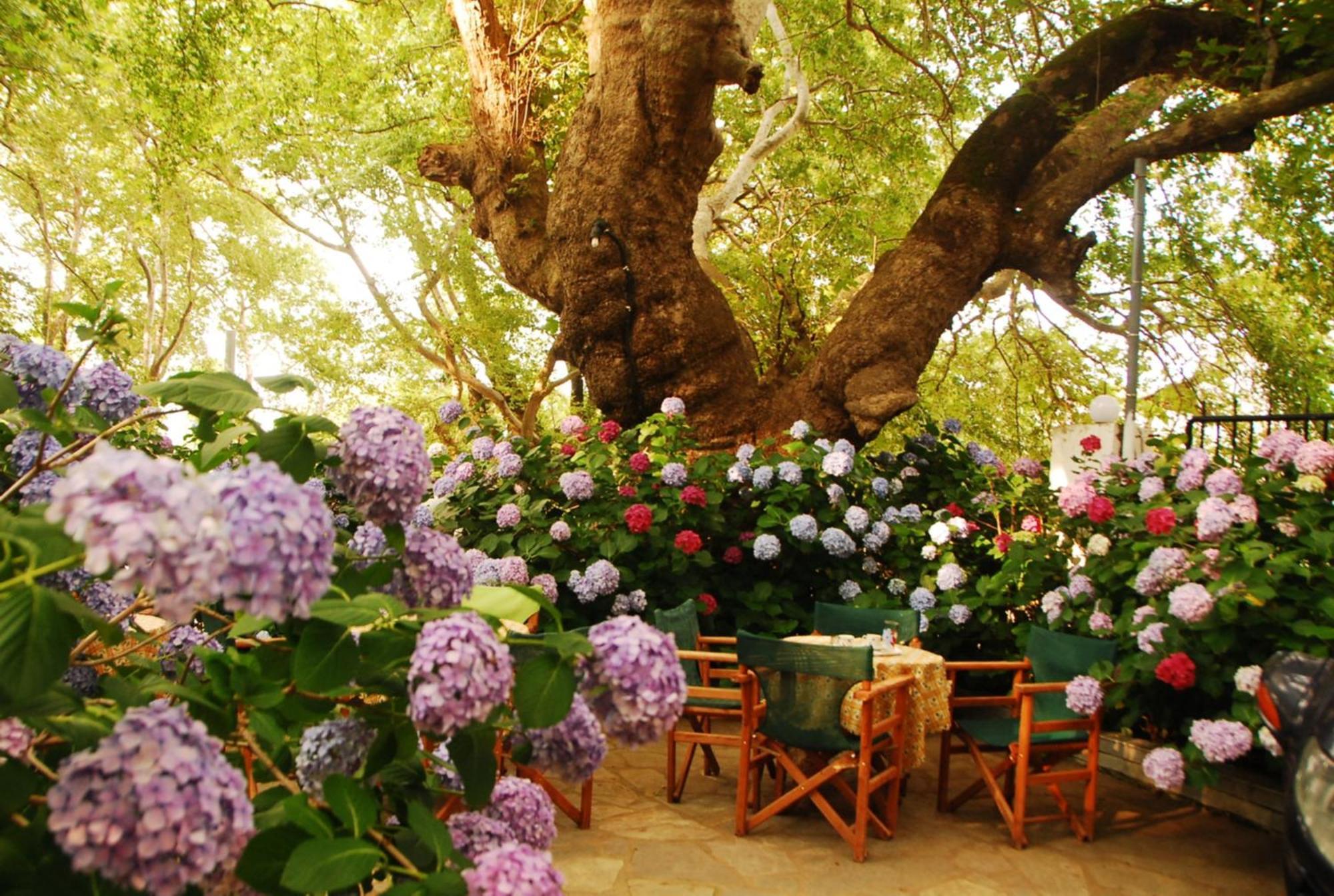תרמה Parselia Rooms חדר תמונה